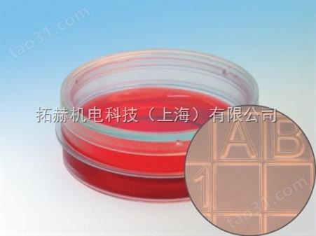 易必迪ibidi 细胞定位格子培养皿µ-Dish 35 mm high， glass bo