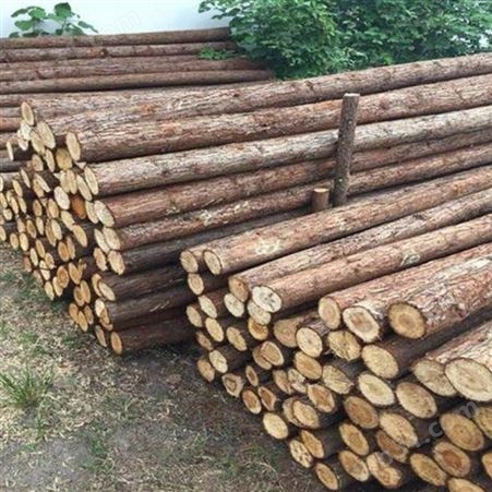 苏州杉木桩尺寸 常州杉木桩直径 胜洁木业