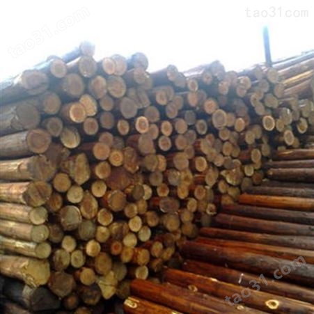 扬州杉木桩出售 10米杉木桩 胜洁木业