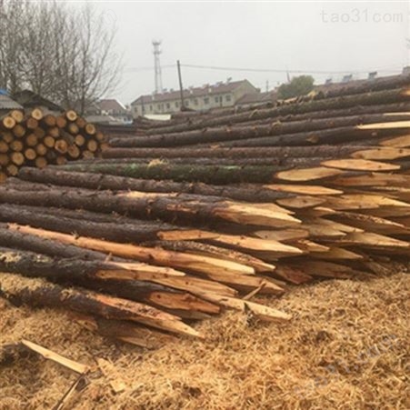 胜洁木业 景观杉木桩直径 防汛杉木桩出售