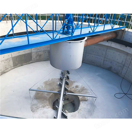 ZCGN型中心传动垂架式刮泥机 污水处理厂设备