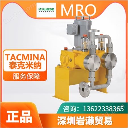 【岩濑】泰克米纳PL-0005柱塞隔膜计量泵 进口TACMINA气动隔膜泵