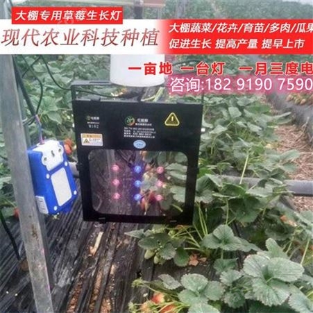 新一代草莓专用补光灯草莓大棚补光灯 一个灯管两亩地 提前上市增产虫害