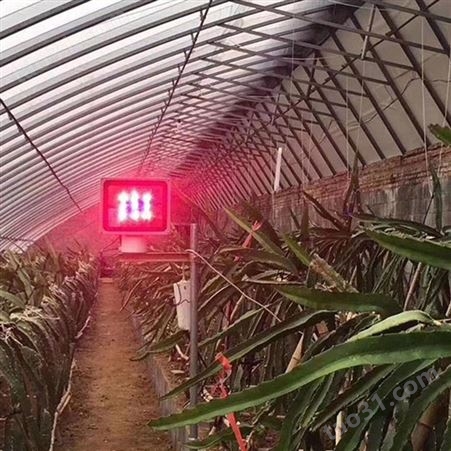 大棚补光灯价格 LED植物补光灯 效果好的植物补光灯 红皎阳