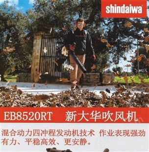 日本原装新大华EB8520RT背负风机森林灭火道路清扫落叶大功率四冲程