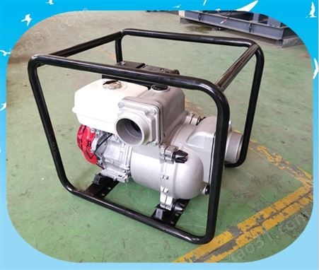 西藏便携式汽油抽水泵 工程用汽油水泵机组价格 咏晟