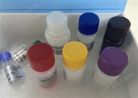 人白介素ELISA检测试剂盒