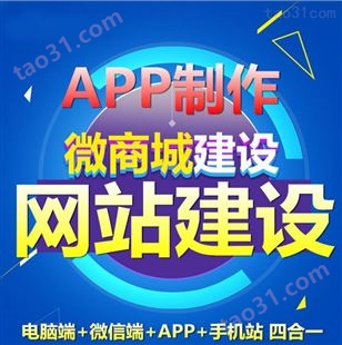 中文网站 外贸网站 企业网站设计 app商城开发定制