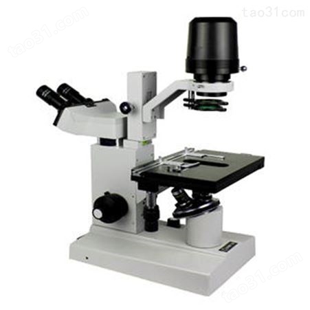 定制XD-1【倒置生物显微镜】数码生物显微镜 高清倒置生物显微镜厂家