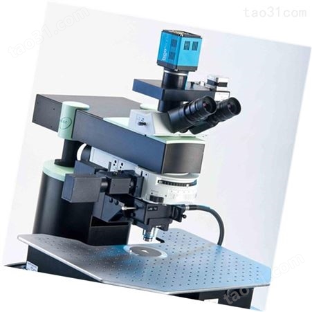 德国LaVision BioTec 双光子显微镜TriM Scope