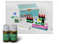 人碳酸酐酶Ⅸ（CA9）ELISA试剂盒