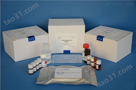 人突触囊泡蛋白Ⅷ（SYT8）ELISA试剂盒