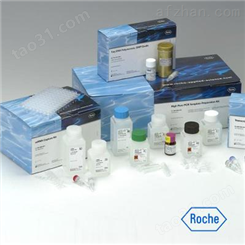 人通用转录因子ⅡB（GTF2B）ELISA试剂盒
