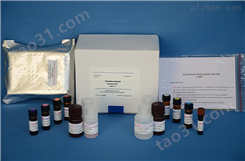 人拓扑异构酶Ⅱ（TOP2）ELISA试剂盒