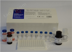 人速激肽4（TAC4）ELISA试剂盒